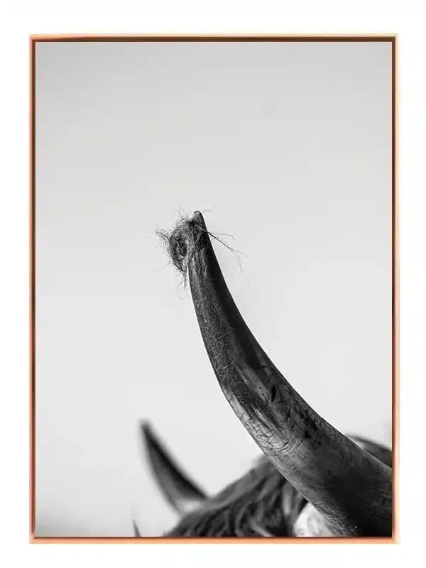 A101