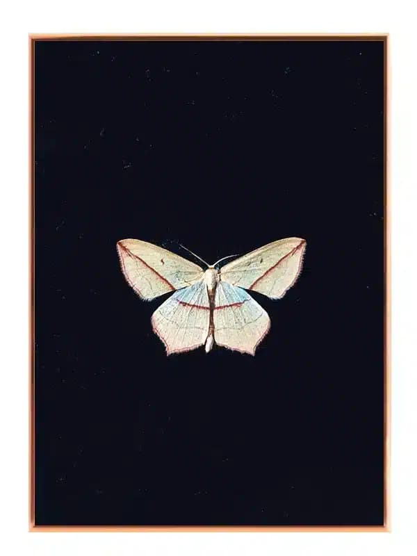 A141