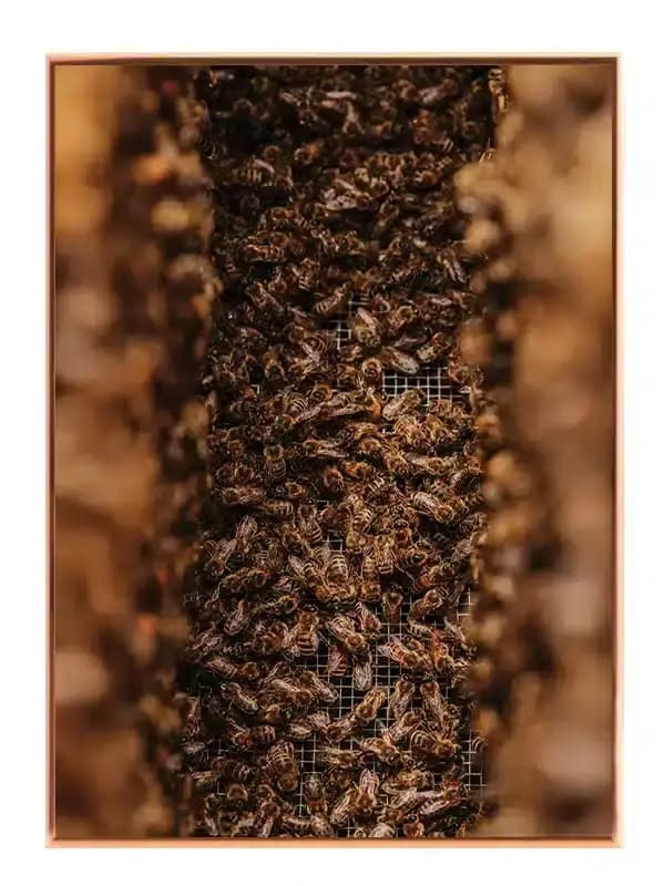 A144
