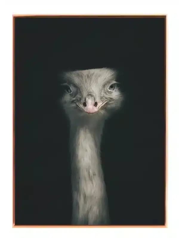 A23