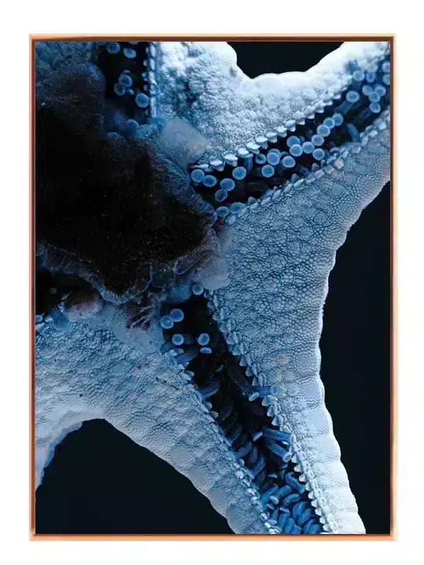 A273