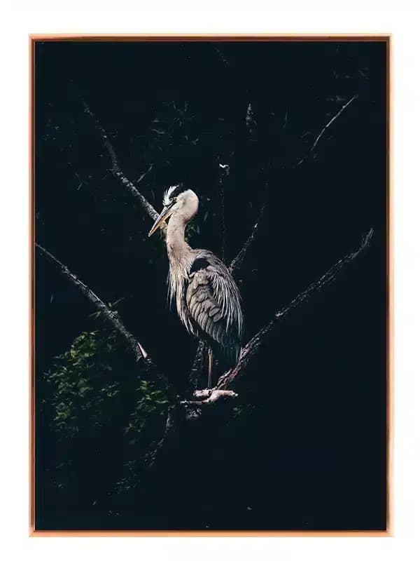 A293