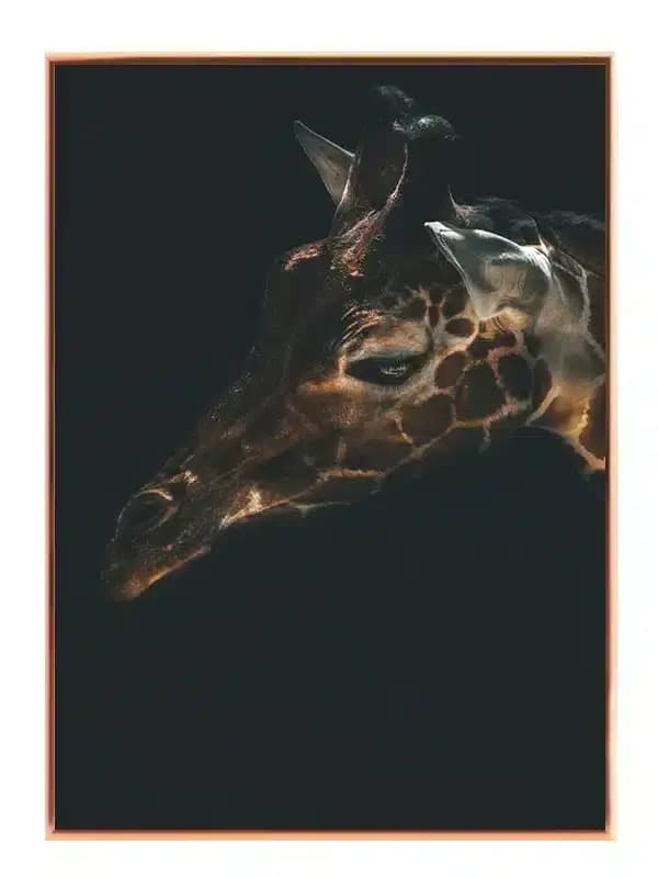 A42