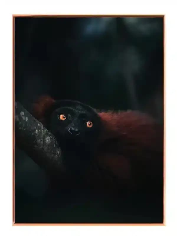 A44