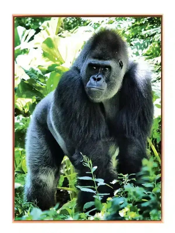 A90