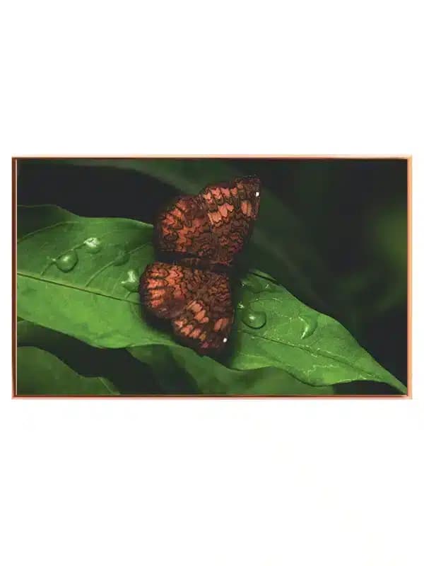 AB74