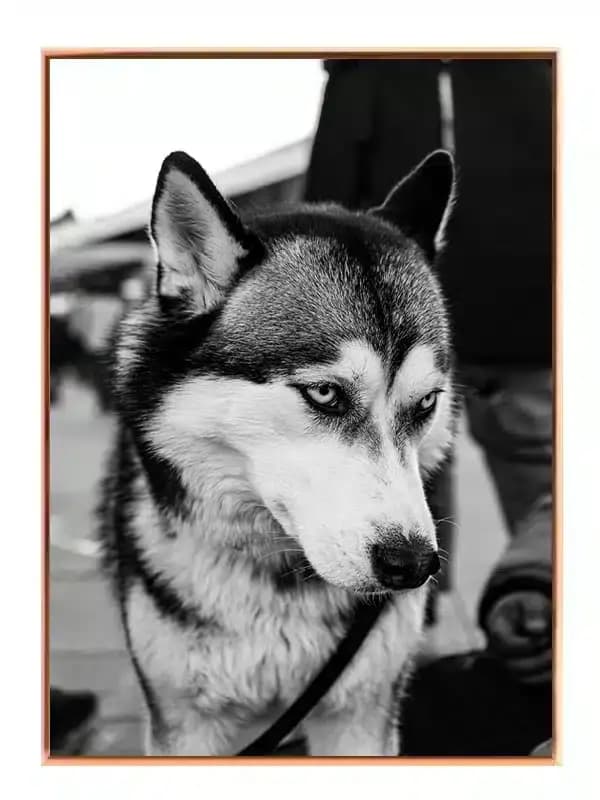 BW19