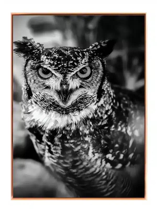 BW38