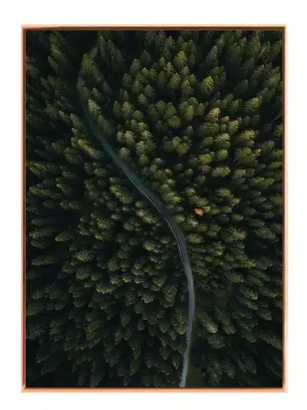N246