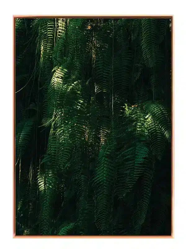 N61