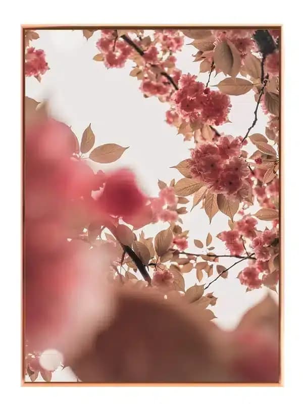 N98