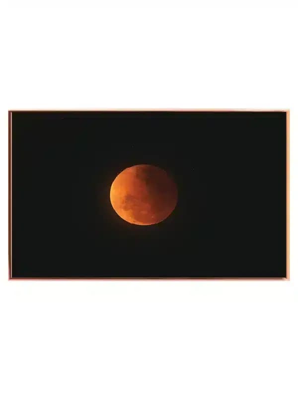 NB16