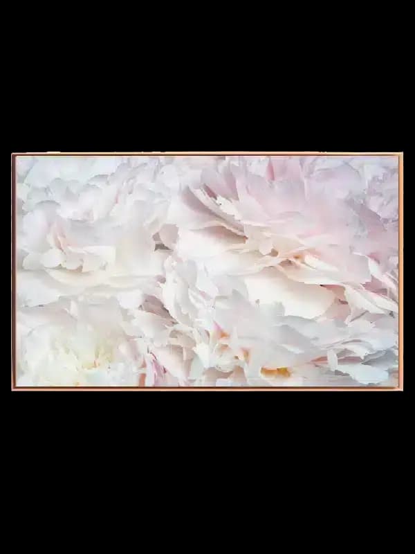 Delicate Petal Layers Plakat