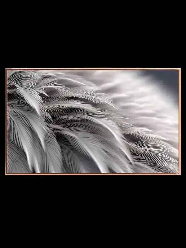 Feather Veins Texture Plakat