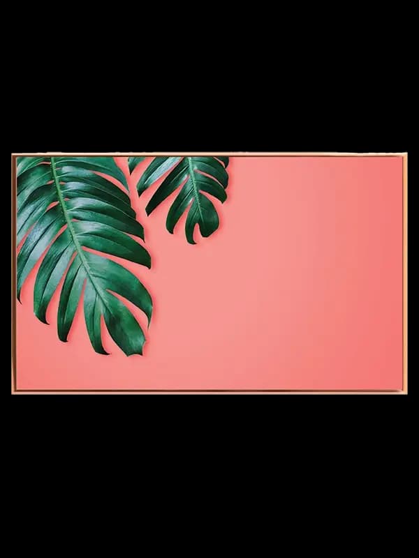 Monstera Blade På Koralfarve Plakat