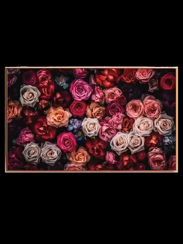 Blomstrende Roser i Mørke Plakat