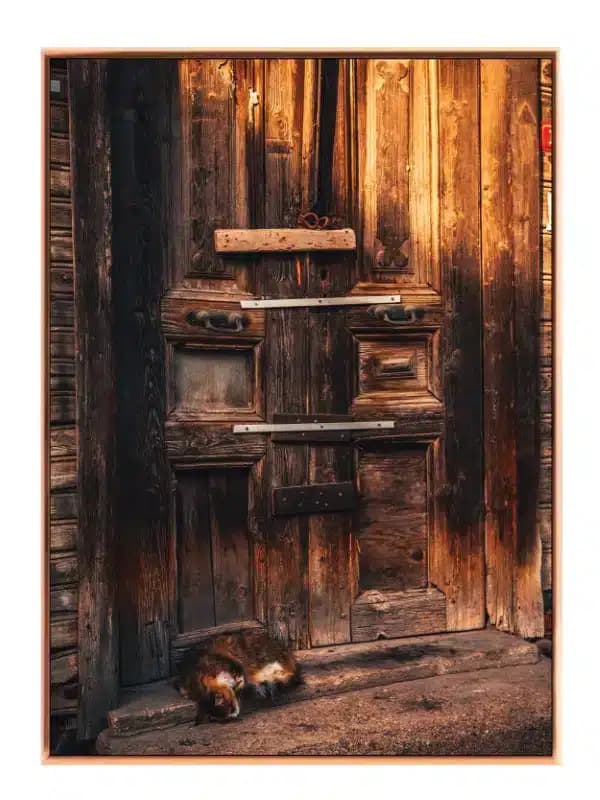 Rustic Wooden Door With Cat