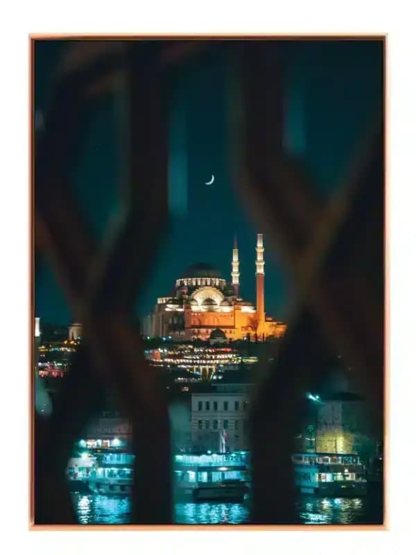Night View With Crescent Moon