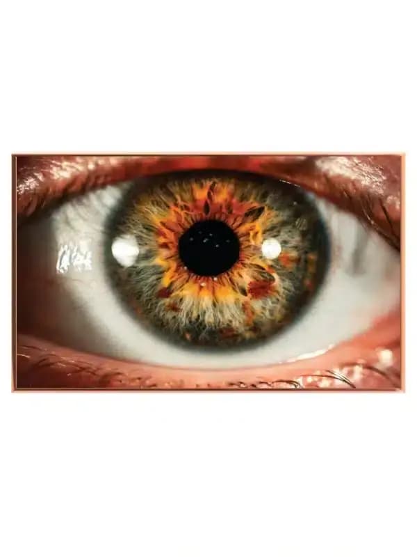 Makro Iris i Ravtoner