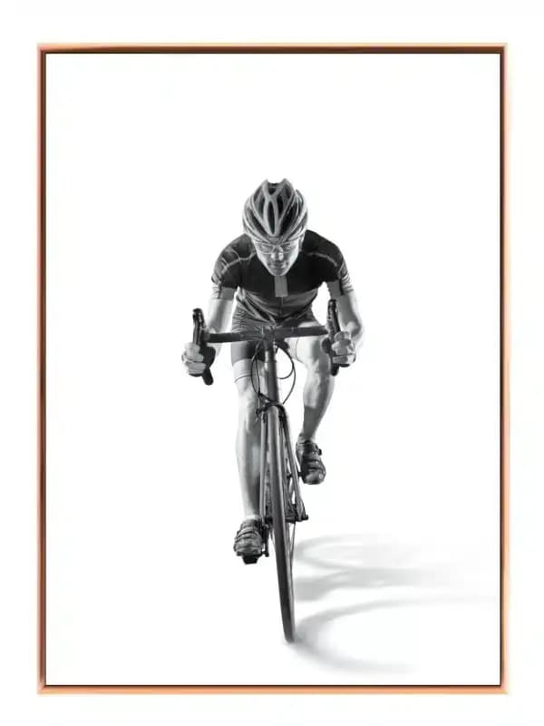Cykelrytterens Fartfyldte Eventyr
