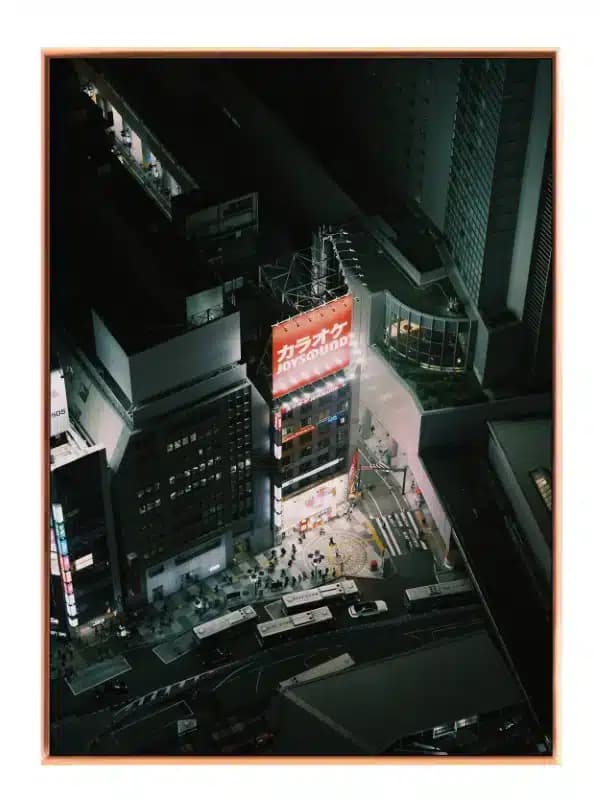 Neonlys Over Tokyo Kryds