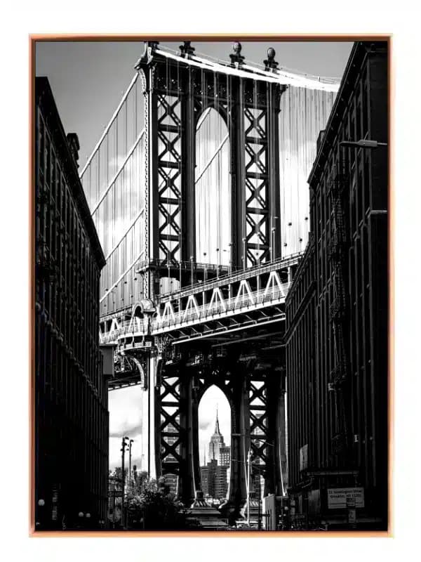 Manhattan Bridge med Skyline