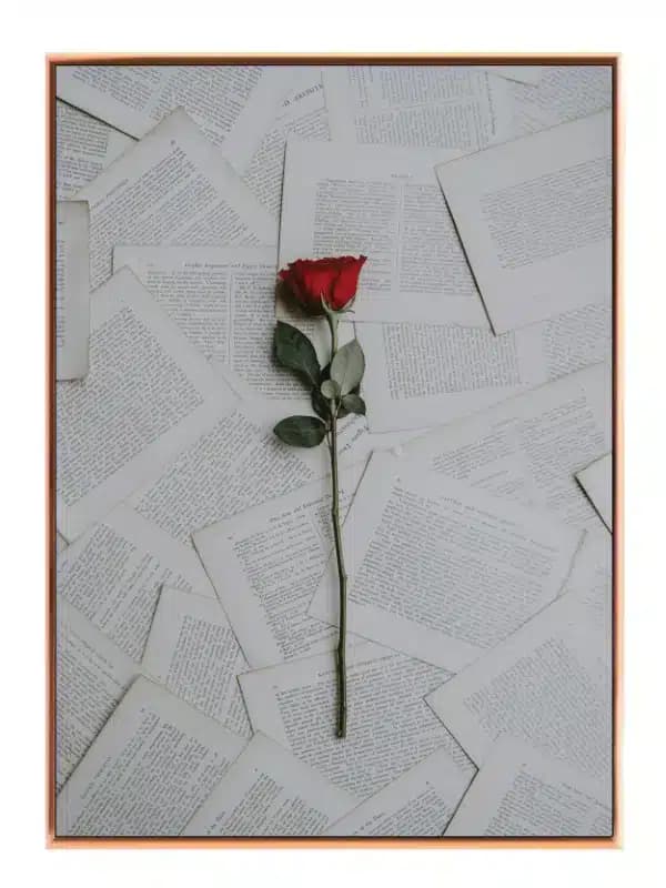 Rose bogsider med typografi collage tekstur