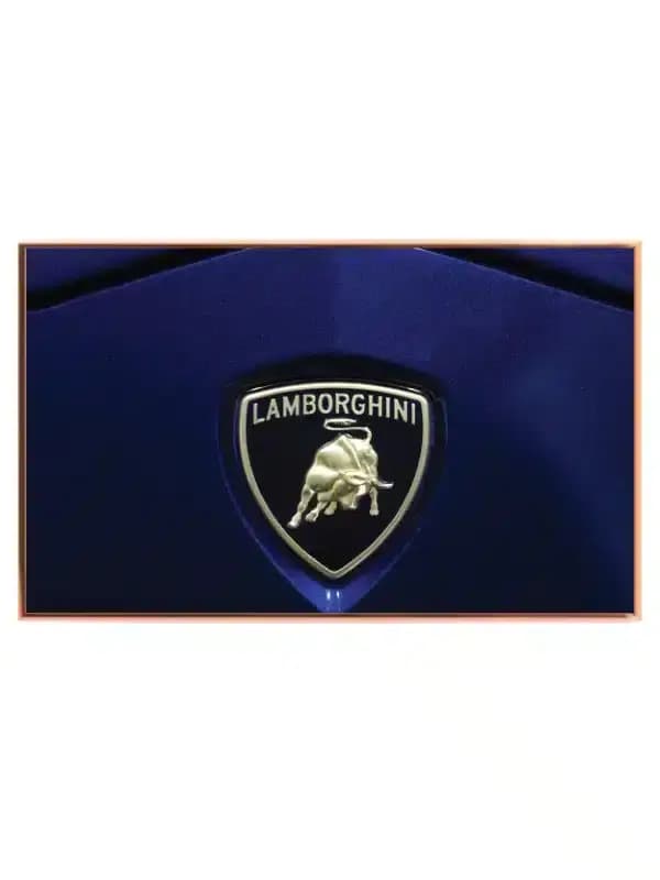 Luksus Lamborghini Sportsvogne