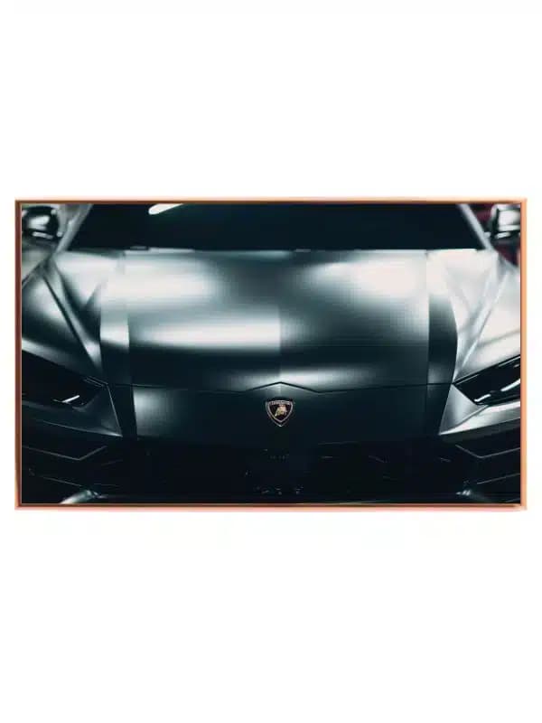 Elegant Lamborghini Superbil