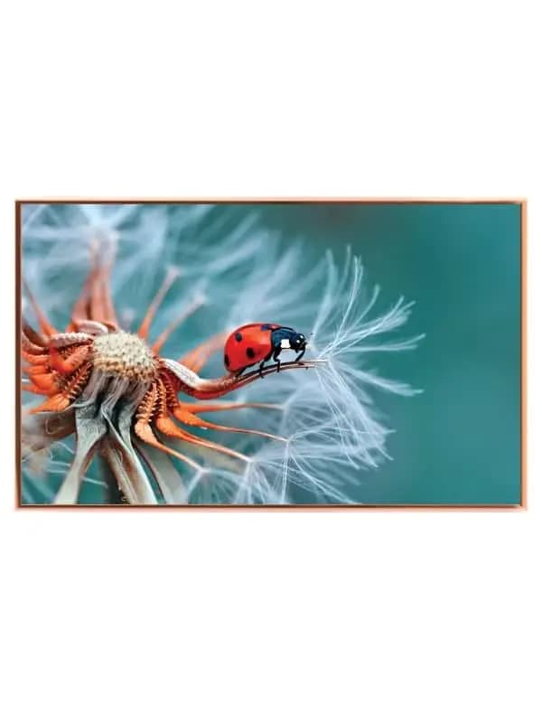 Ladybug On Plakat