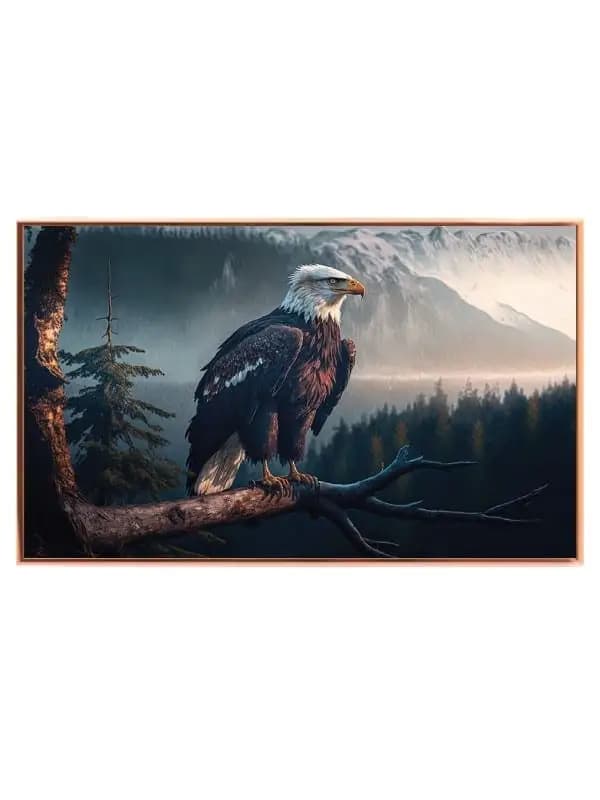 Bald Eagle Plakat