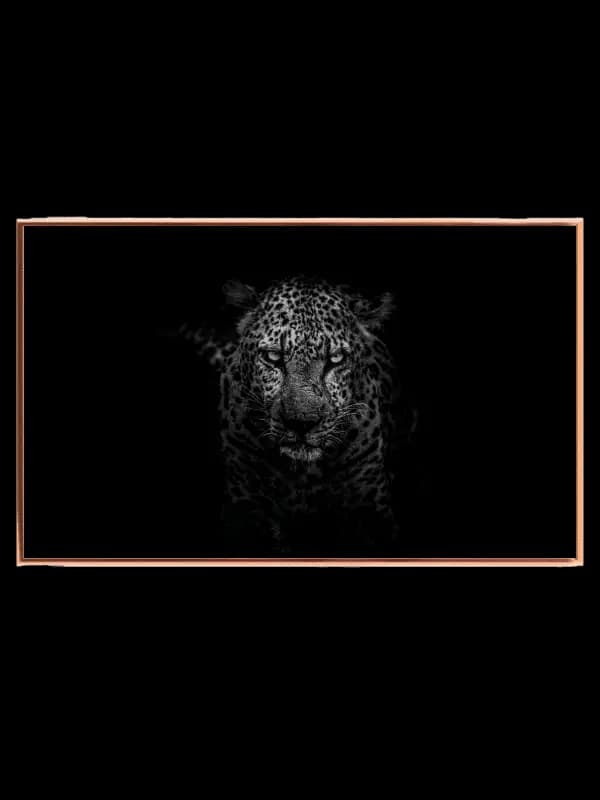 Mysterious Leopard Night Plakat