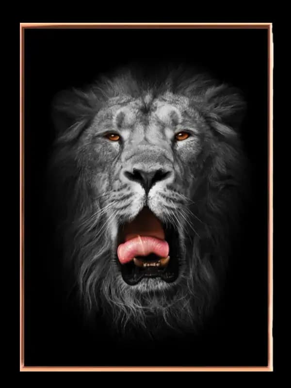 Lion Face Plakat