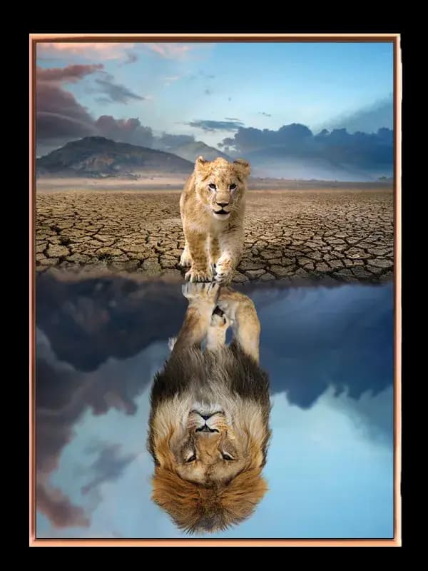 Lion Cub Reflection Plakat