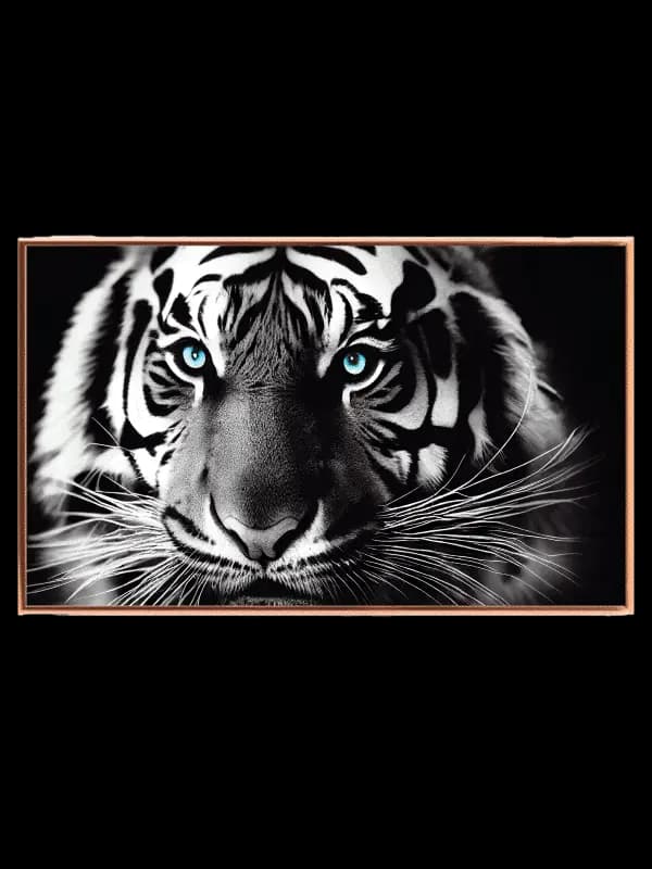 White Tiger Closeup Plakat