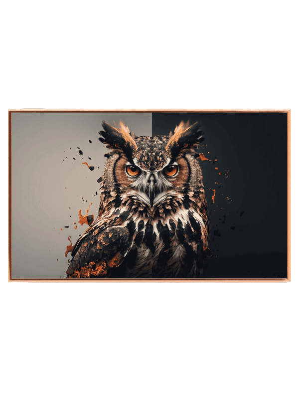 Owl Split Background Plakat