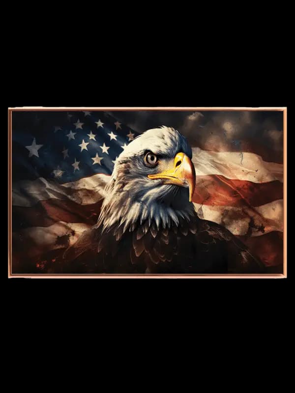 Bald Eagle Close Up Plakat