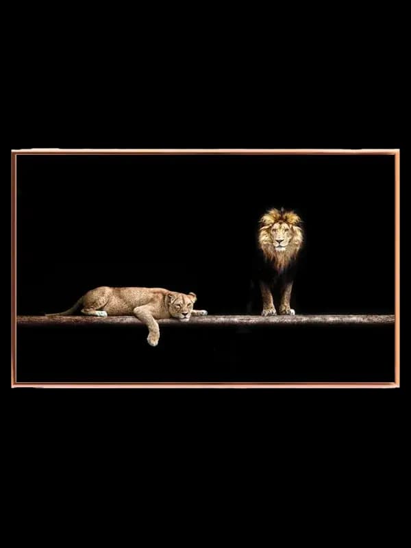 Lion Couple I Plakat