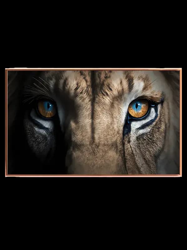 Lion Eyes Plakat