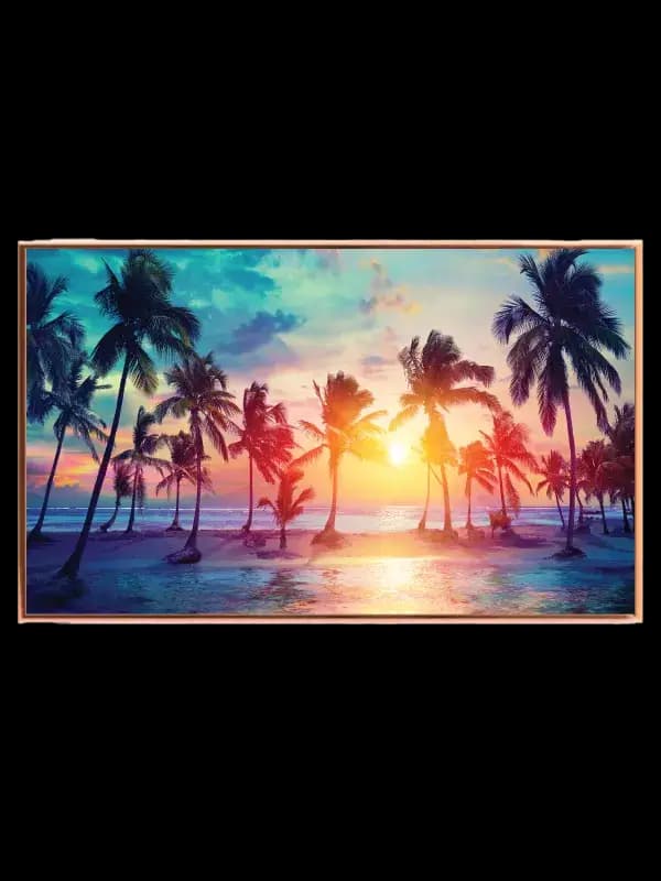Palmer Ved Solnedgang Plakat