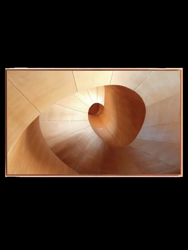 Spiralens Træagtige Elegance
