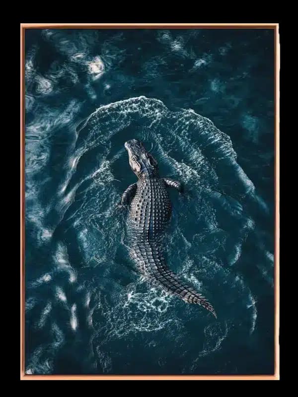 Ko American Alligator Plakat