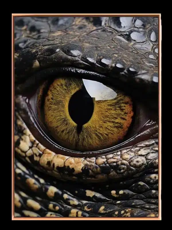 Crocodile Eye Closeup Plakat
