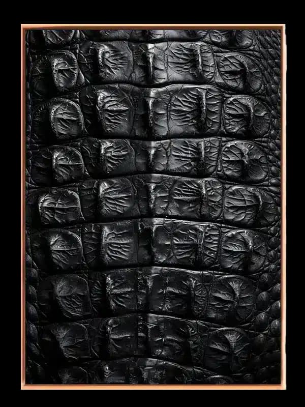 Crocodile Skin Plakat