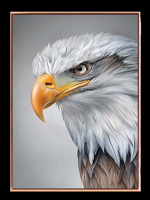 Bald Eagle Closeup Plakat