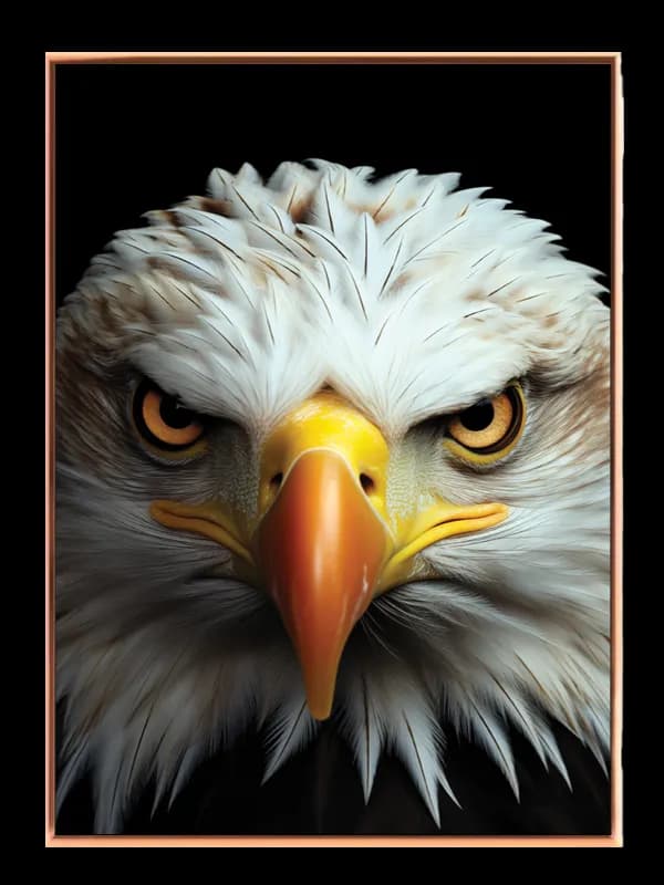 Bald Eagle Intense Plakat