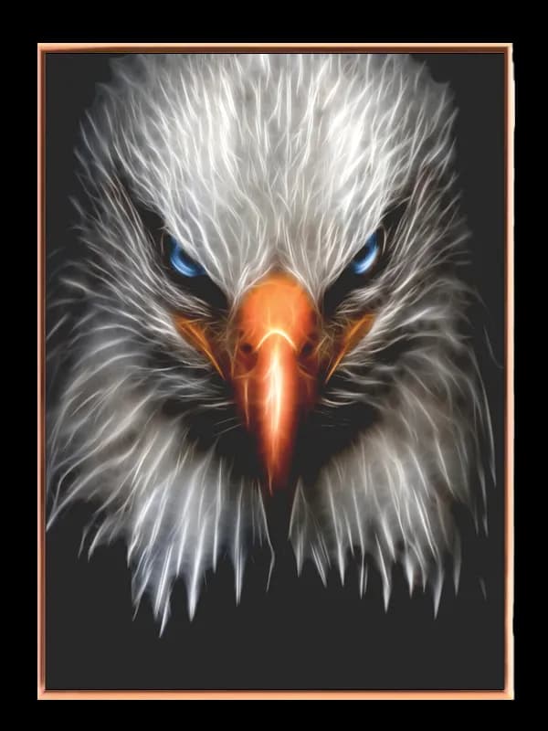 Bald Eagle Face Plakat
