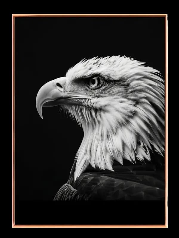 Bald Eagle Profile Plakat