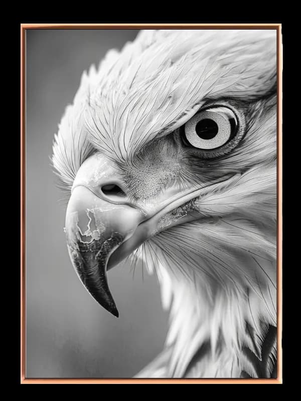 Eagle Close Up Plakat