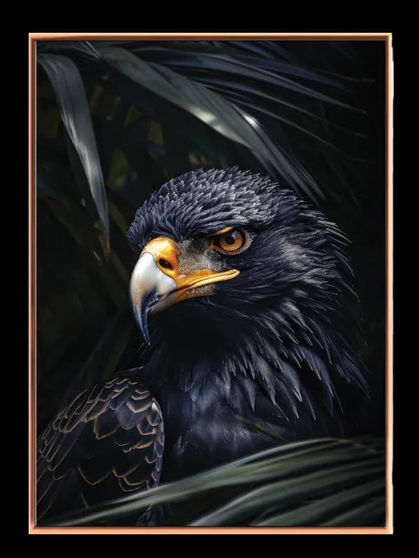 Bateleur Eagle Plakat
